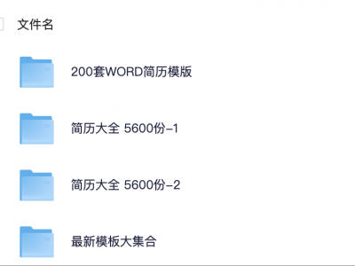 【精美简历模板专区】